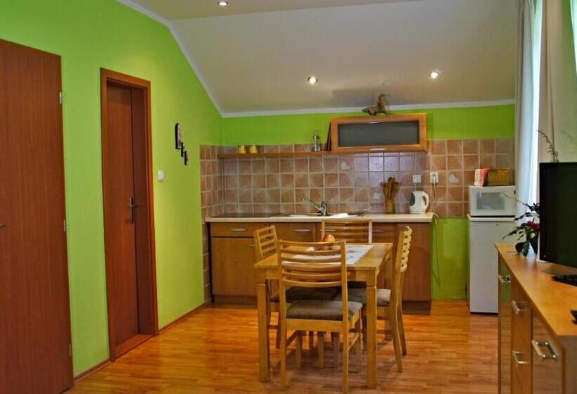 带1个卧室的公寓, Penzion V Strani