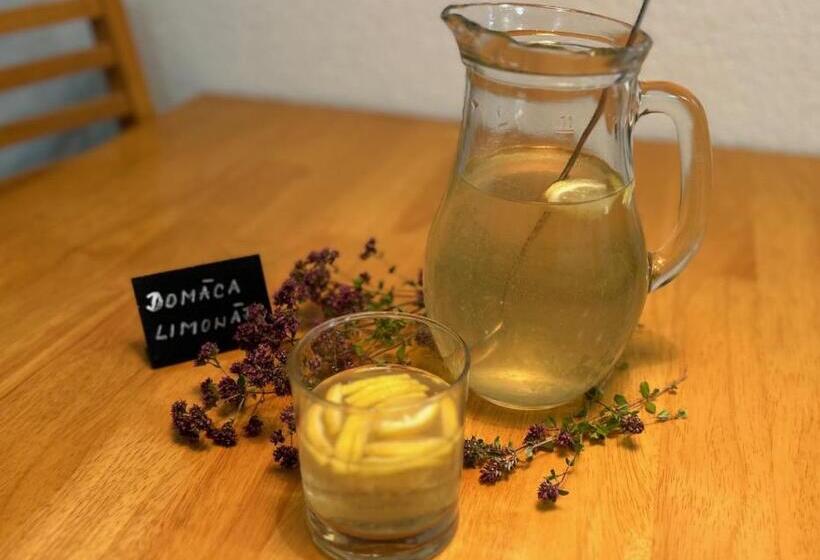 带1个卧室的公寓, Penzion V Strani