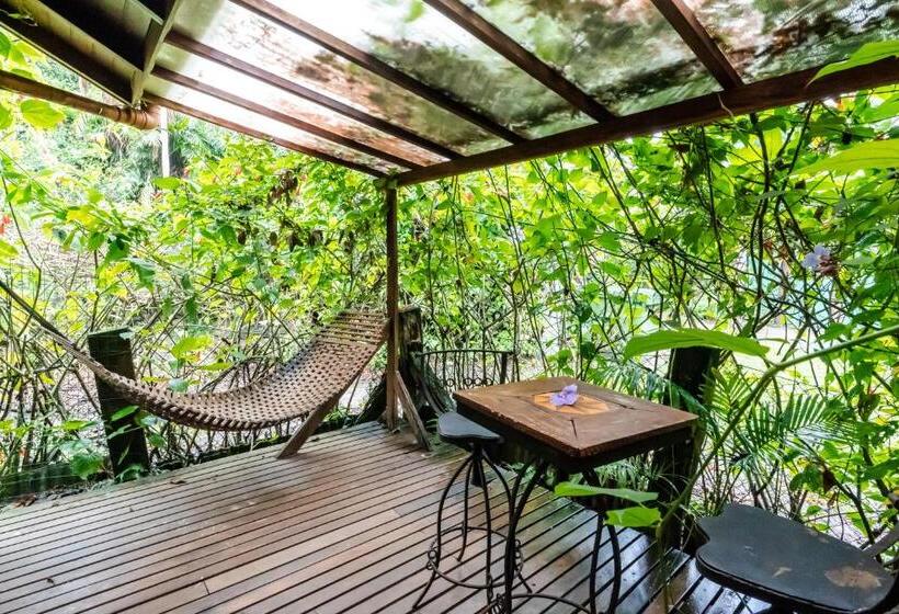 Suite Supérieure, Pousada Astral Da Ilha