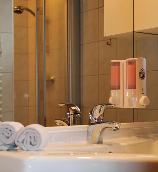 1 Bedroom Apartment Mountain View, Lodge Seppaler