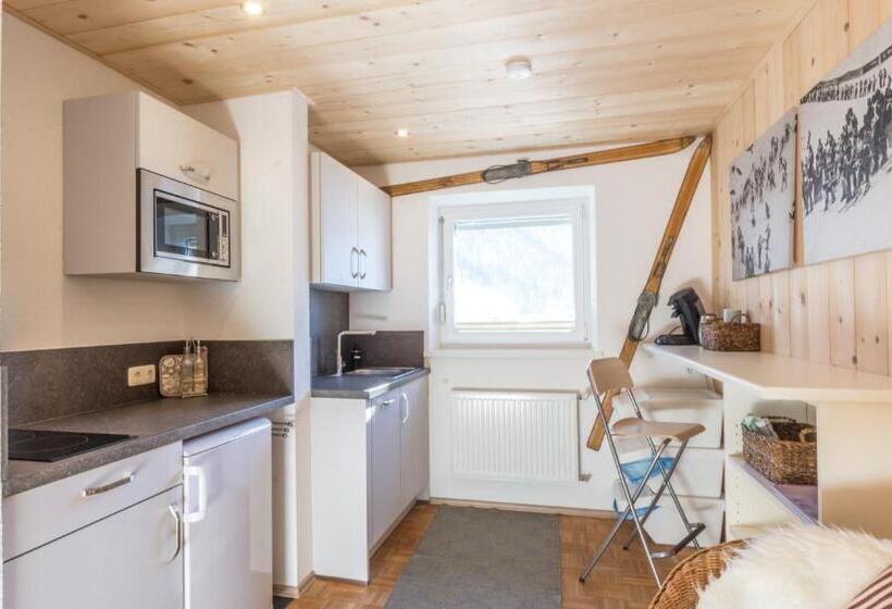 1 Bedroom Apartment Mountain View, Lodge Seppaler