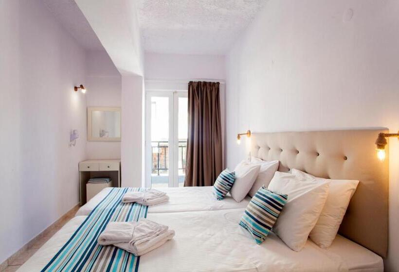 חדר סטודיו סטנדרד, Elychryson