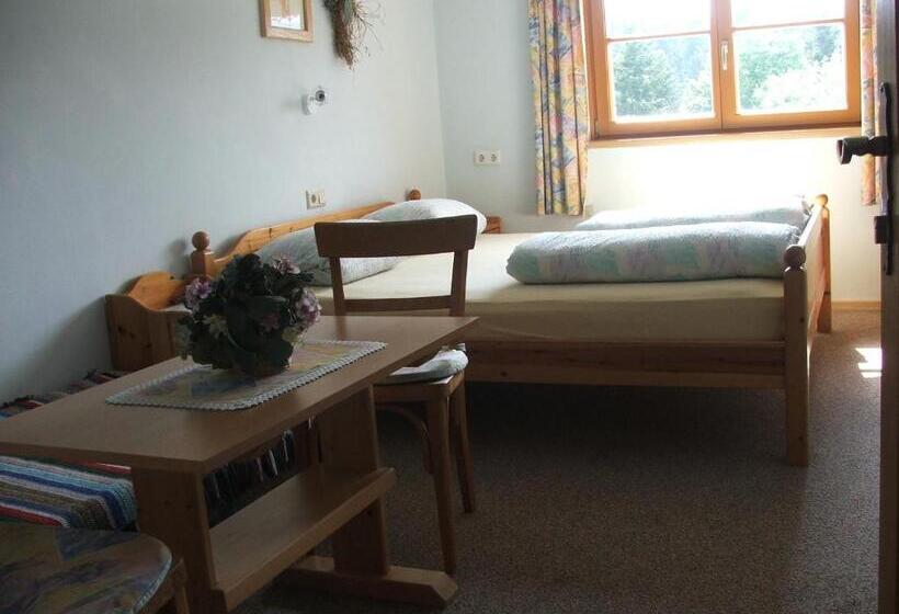 غرفة قياسية, Pension Jägerheim