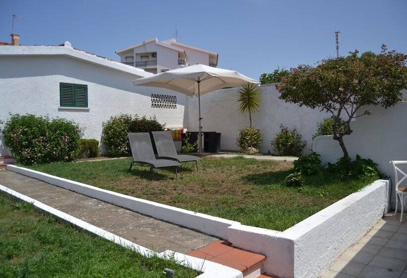 デラックススイート, Petunia Guest House