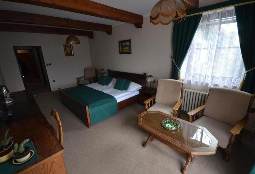 Номер Deluxe, Villa žerotín Penzion Bed & Breakfast