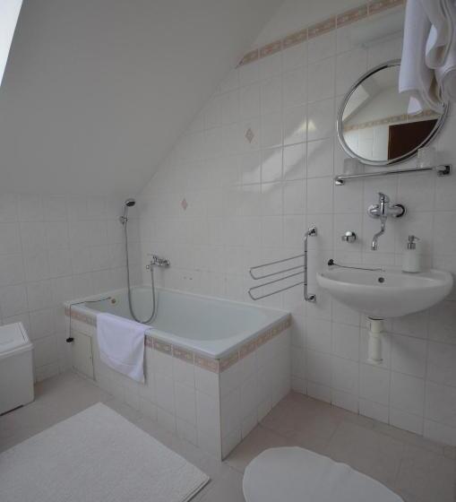 آپارتمان یک خوابه با دری مشترک که هال را جدا می کند., Villa žerotín Penzion Bed & Breakfast