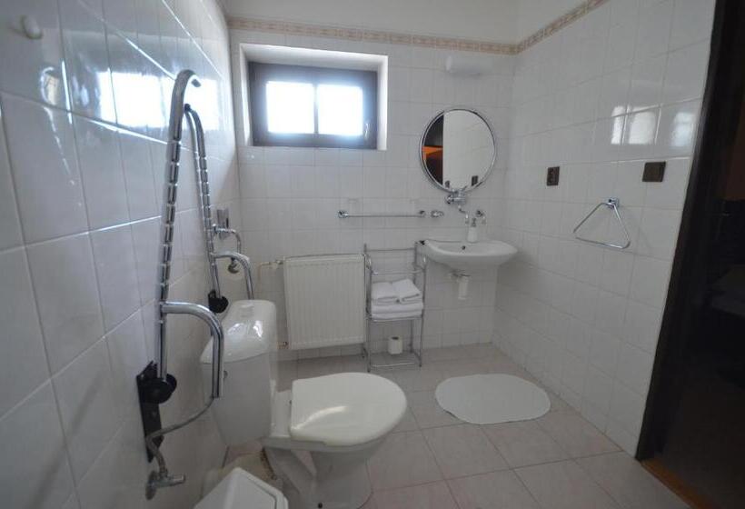 اتاق استاندارد, Villa žerotín Penzion Bed & Breakfast
