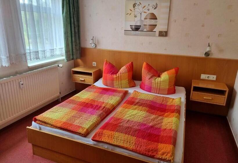 חדר סטנדרט, Pension Schmidt Bad Kösen