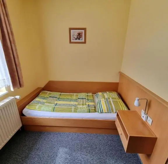 スタンダードシングルルーム, Pension Schmidt Bad Kösen