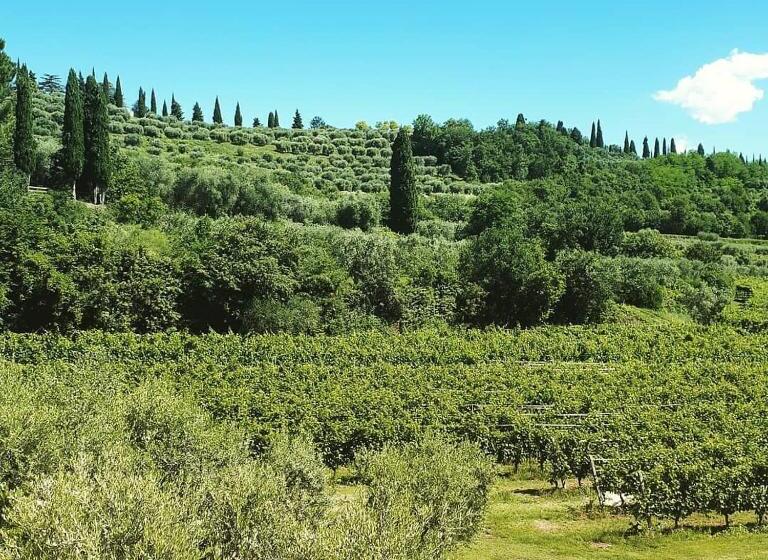 اتاق استاندارد با بالکن, Agriturismo La Rocca