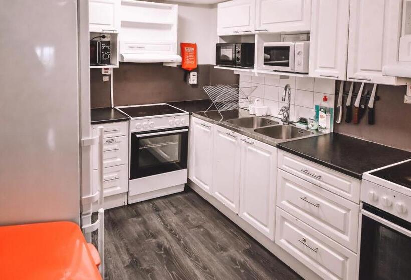 חדר סטנדרט עם מיטת קומתיים, Abisko Guesthouse & Activities