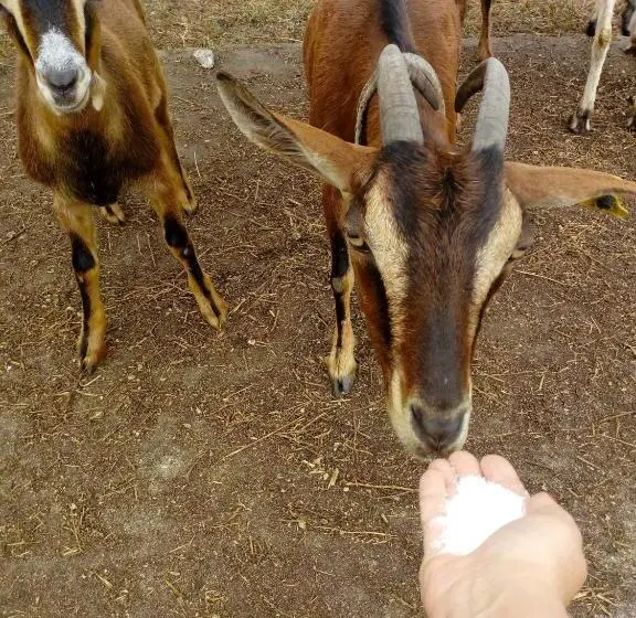 プール付３ベッドルーム　ビラ, No Meio Da Natureza   Turismo No Espaco Rural