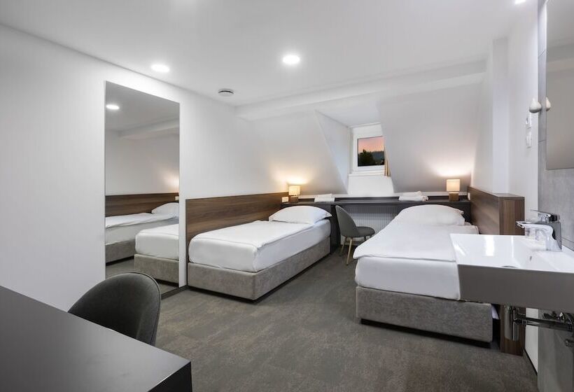 اتاق استاندارد با سرویس بهداشتی مشترک, Garni Hotel Cirman