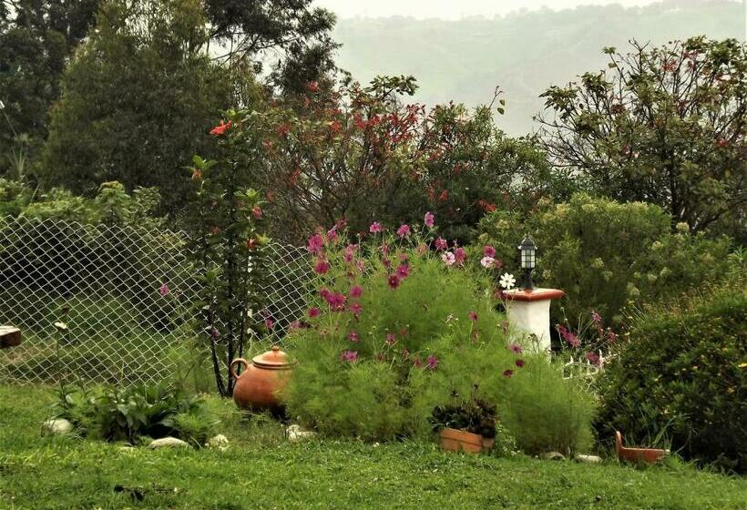 Номер Стандарт с Балконом, El Zorzal