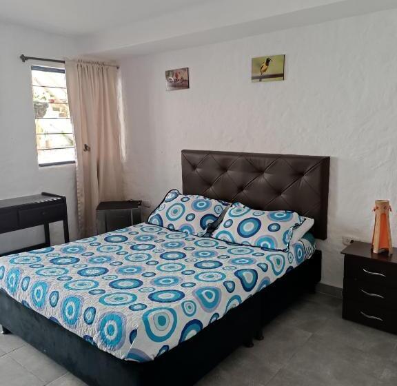 スタンダードルーム, El Zorzal