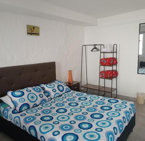 Номер Стандарт, El Zorzal