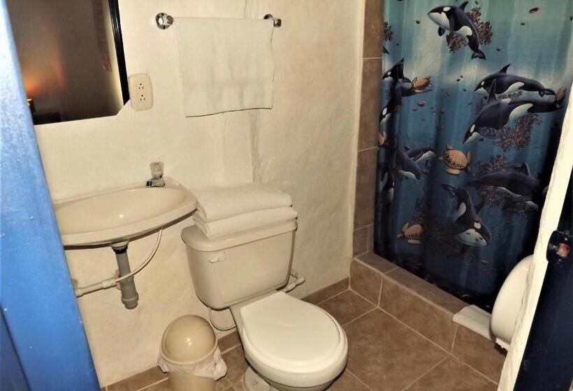 Номер Стандарт, El Zorzal