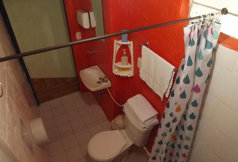 Номер Стандарт, El Zorzal