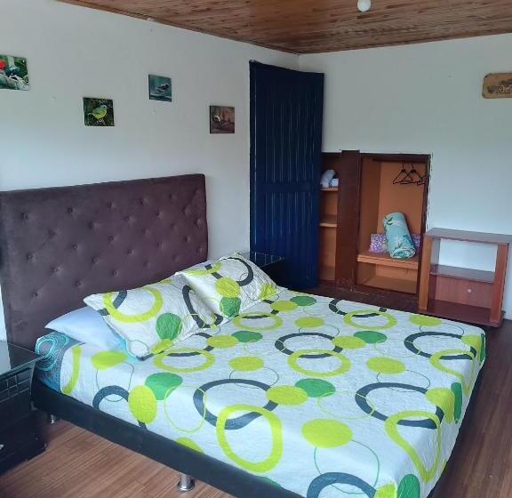 Номер Стандарт, El Zorzal