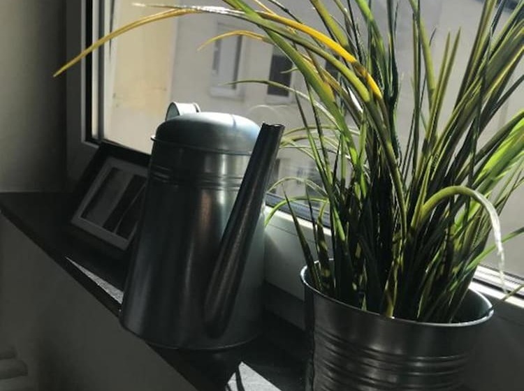 اتاق استاندارد با سرویس بهداشتی مشترک, Hamburg Room