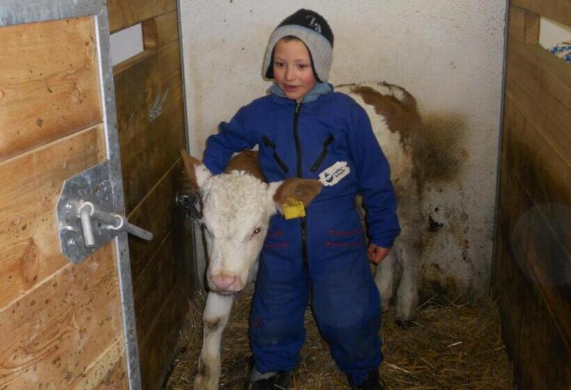 Апартаменты 2 Спальни, Pinterhof