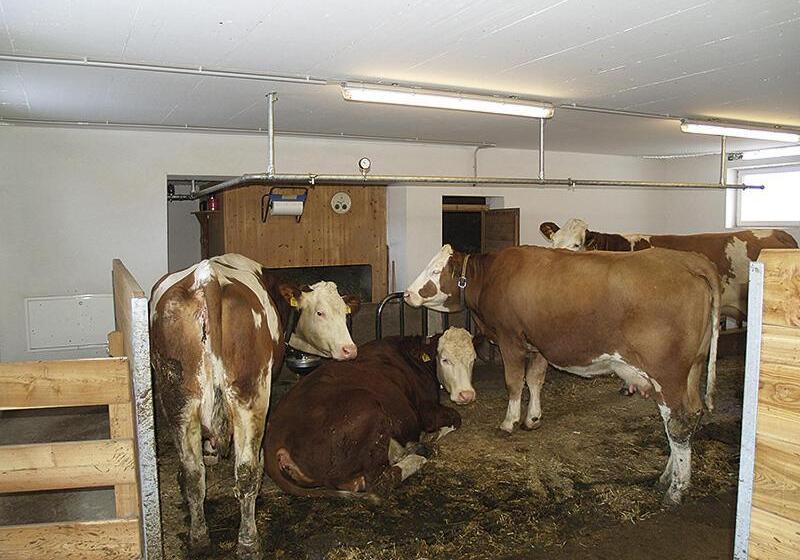 Апартаменты 1 Спальня, Pinterhof