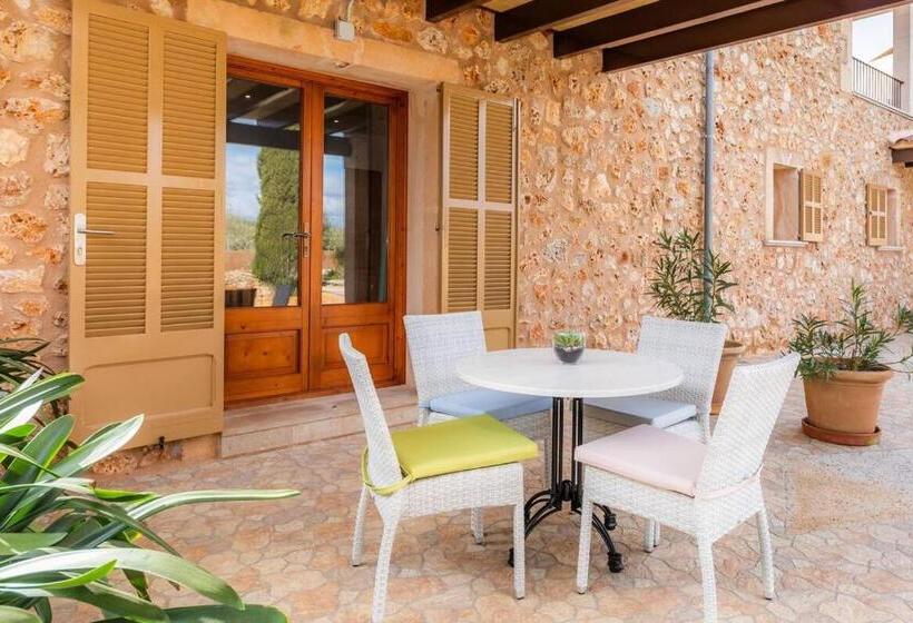 침실 1개 테라스 아파트, S Hort Can Capità