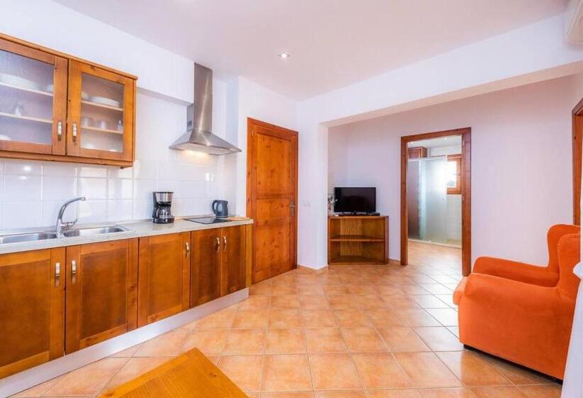 침실 1개 테라스 아파트, S Hort Can Capità