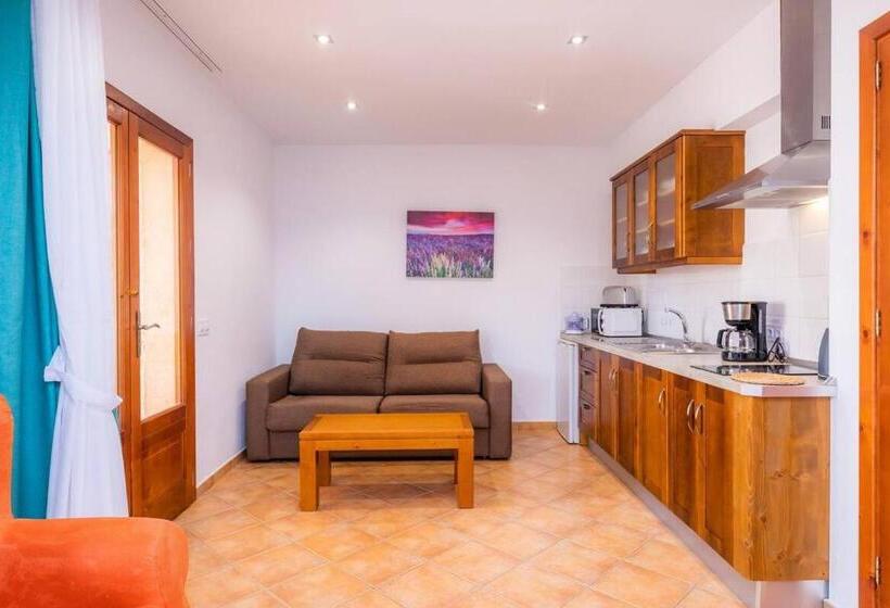 침실 1개 테라스 아파트, S Hort Can Capità