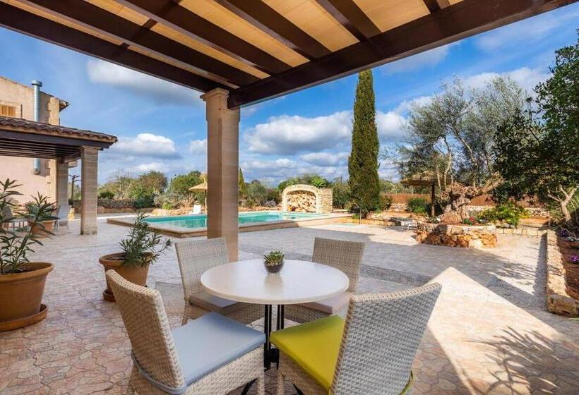 침실 1개 테라스 아파트, S Hort Can Capità