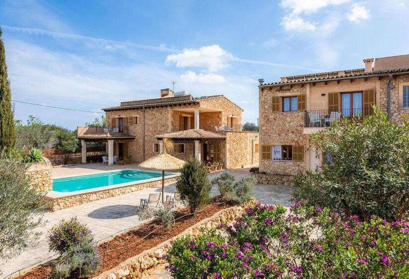 주니어 스위트, S Hort Can Capità