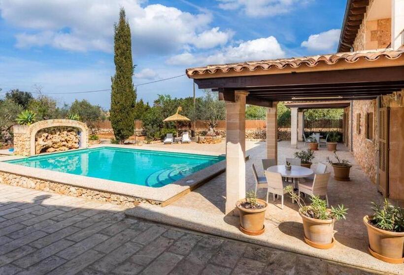 침실 2개 수피리어 아파트, S Hort Can Capità