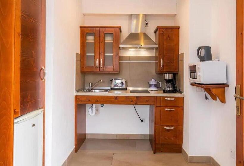 스탠다드 스튜디오 (테라스구비), S Hort Can Capità