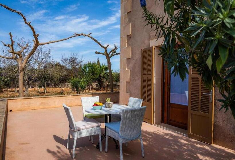 스탠다드 스튜디오 (테라스구비), S Hort Can Capità