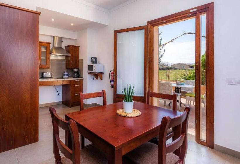 스탠다드 스튜디오 (테라스구비), S Hort Can Capità