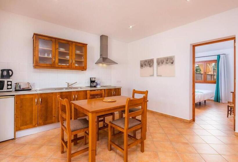 침실 1개 테라스 아파트, S Hort Can Capità