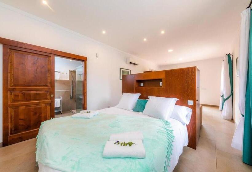 스탠다드 스튜디오 (테라스구비), S Hort Can Capità