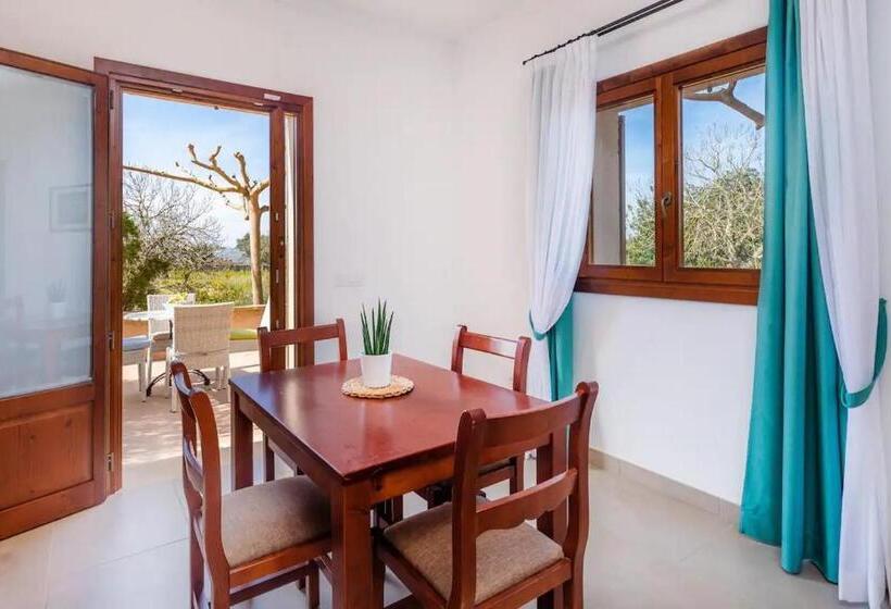 스탠다드 스튜디오 (테라스구비), S Hort Can Capità