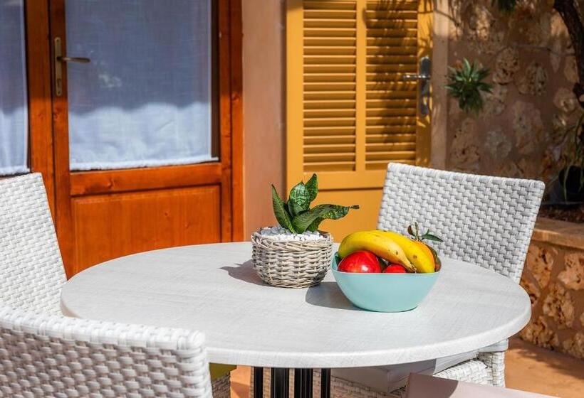 스탠다드 스튜디오 (테라스구비), S Hort Can Capità