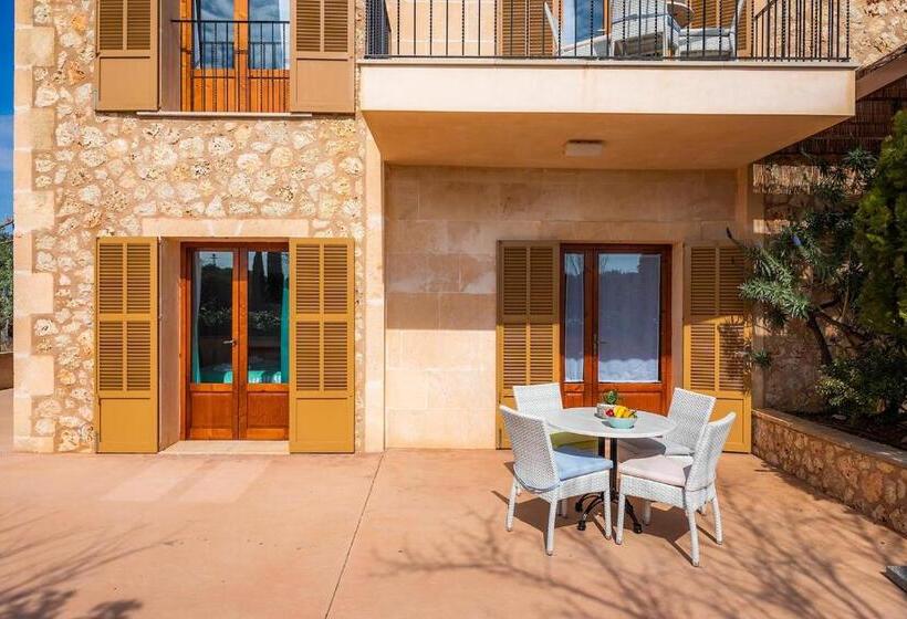 스탠다드 스튜디오 (테라스구비), S Hort Can Capità