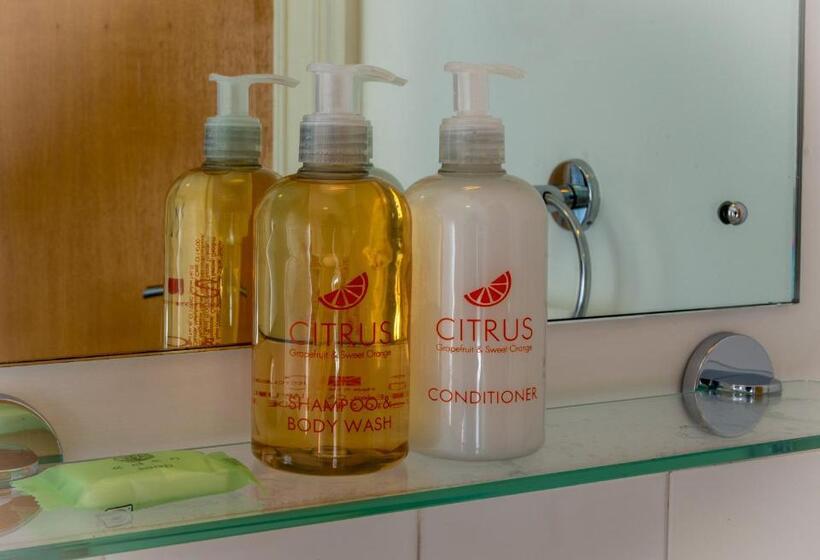 غرفة قياسية فردية, Castle Court