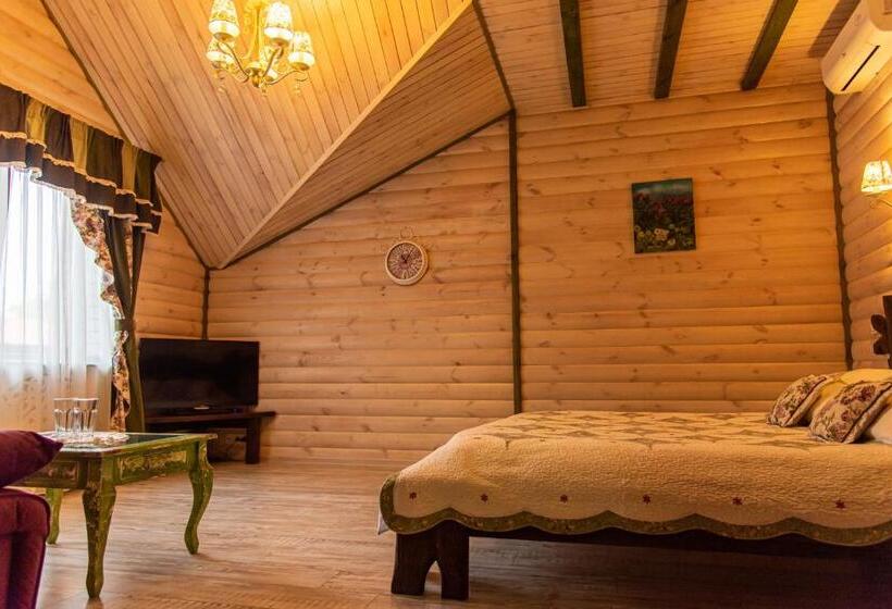 اتاق استاندارد, Spa Hotel Dobrynia