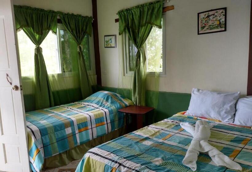 اتاق استاندارد, Zapote Tree Inn