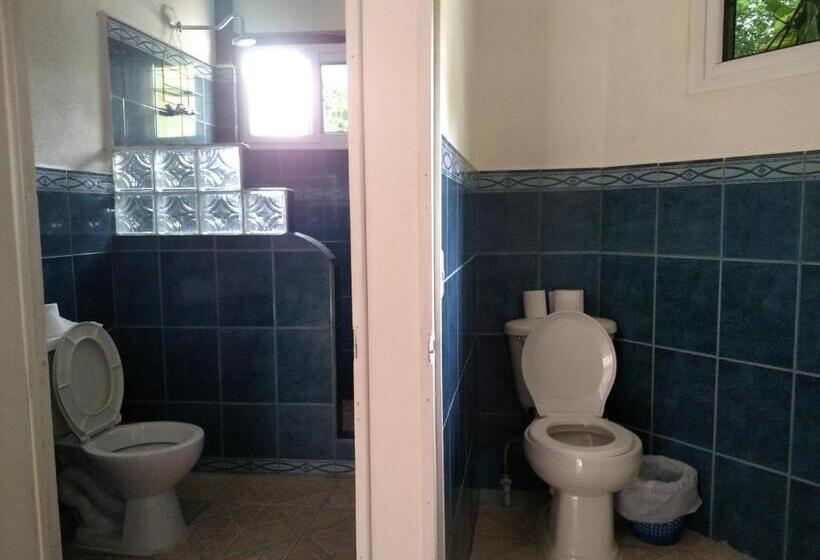 اتاق خانوادگی, Zapote Tree Inn