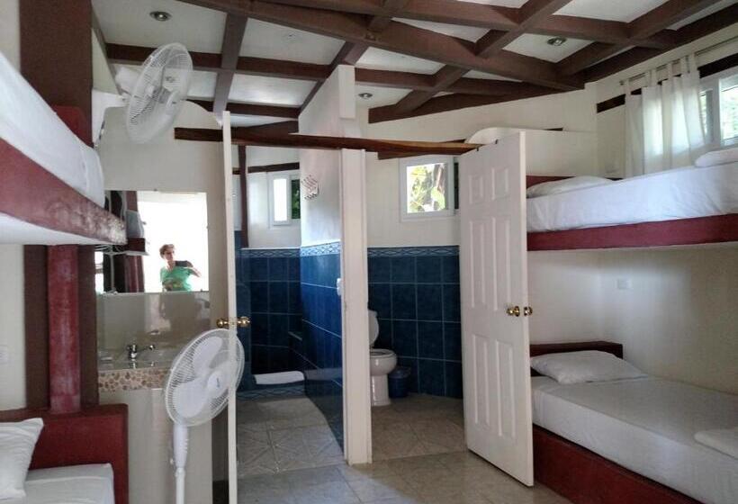 اتاق خانوادگی, Zapote Tree Inn