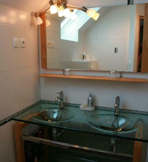 דירת חדר, Biologite