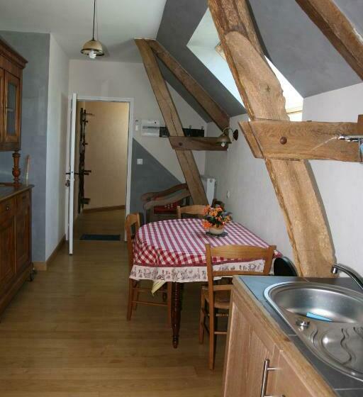 דירת חדר, Biologite