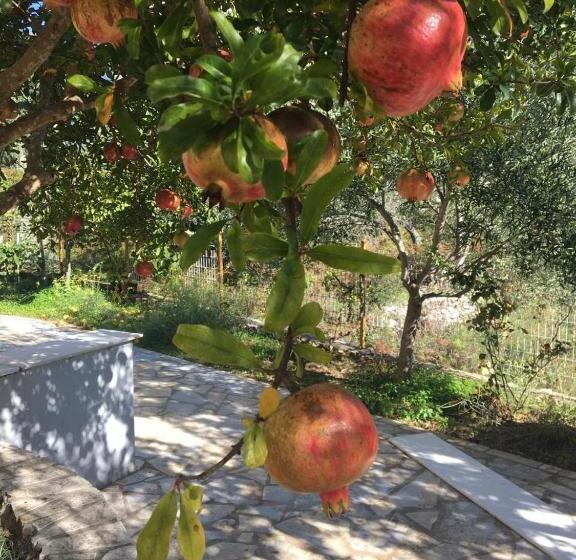 اتاق خانوادگی, Guest House Solive