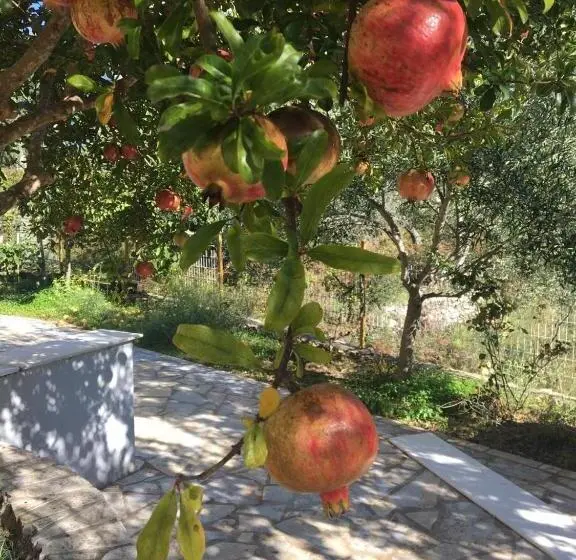 اتاق خانوادگی, Guest House Solive