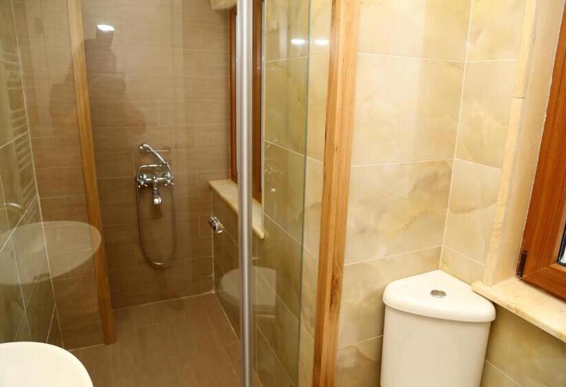 اتاق خانوادگی, Villa Ema